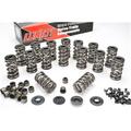 Lunati Valve Spring Kit LNT73925K1